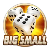 Big Small